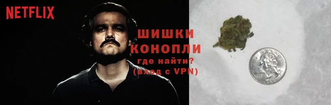 стафф Беломорск