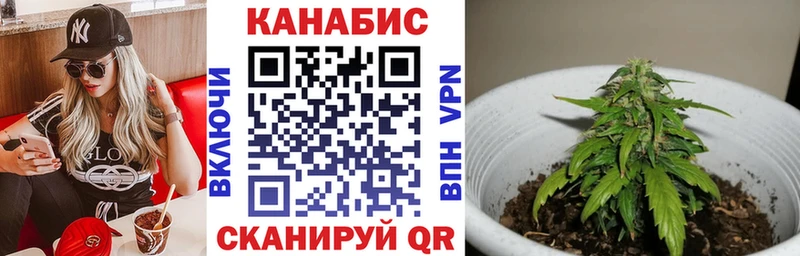 Купить закладки  Новоалександровск  Канабис MAZAR 